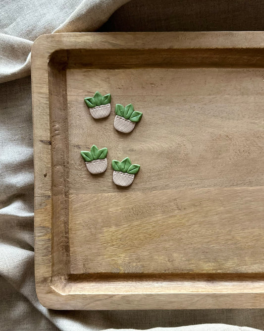 Succulent Dangle-Large